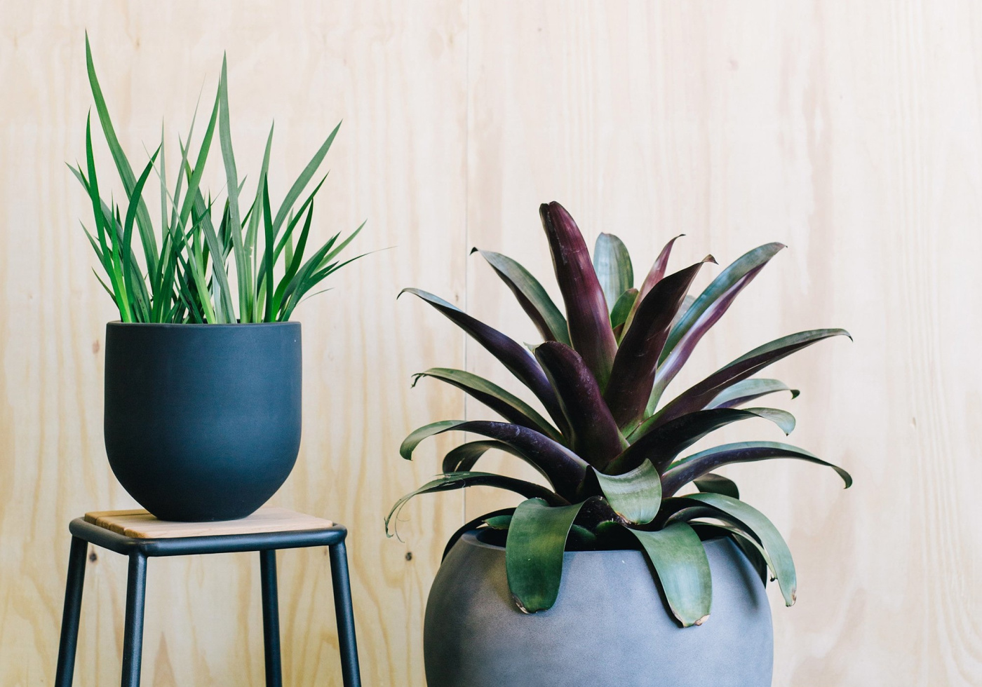 Straight Up Charcoal 4