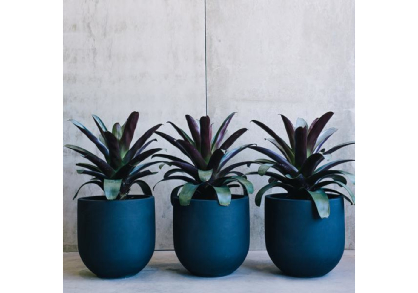 Straight Up Charcoal 4