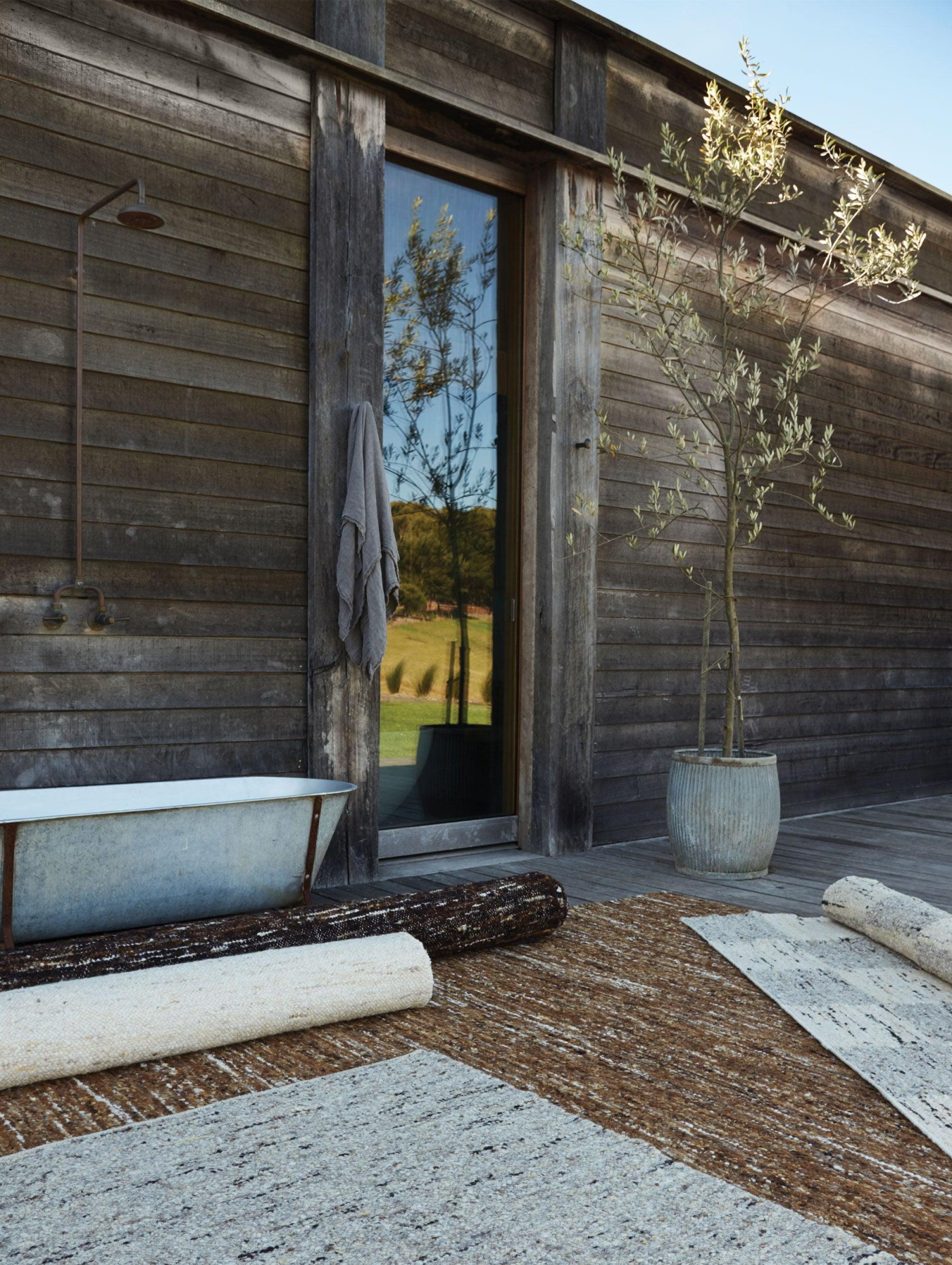 Tribe Home Birch 02 v1646801664