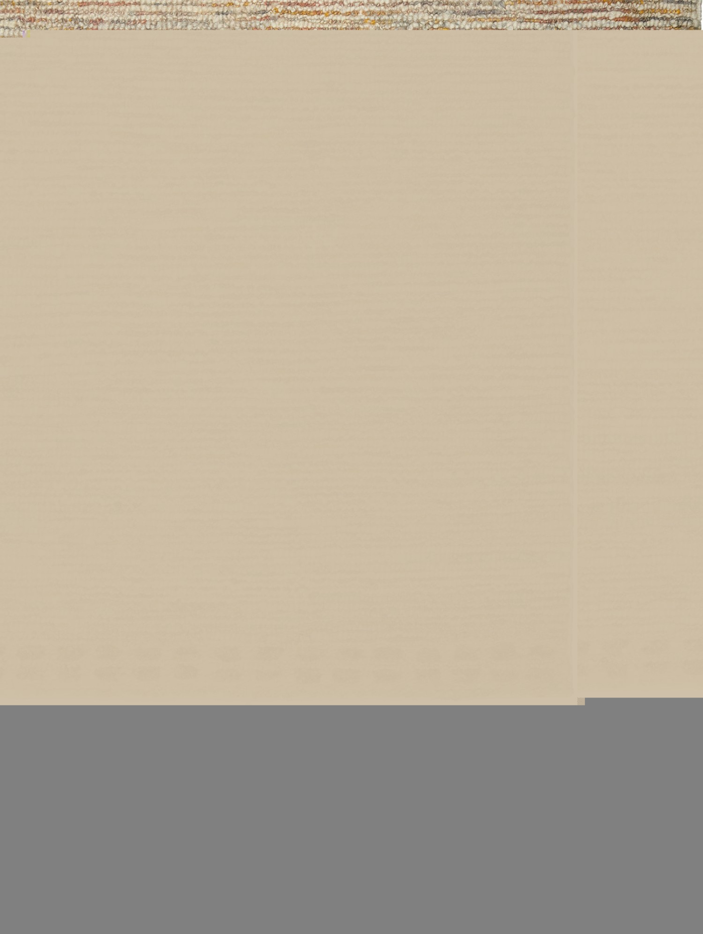 Ridge neopolitan rug tribe home 01 v1594822738