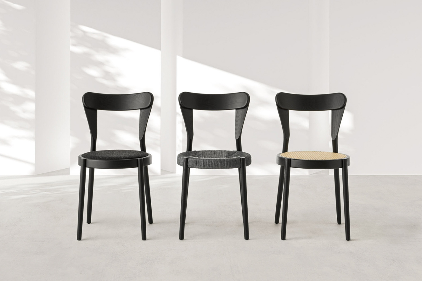 Passoni Pagaia frassino nero gruppo a 430 120 0277