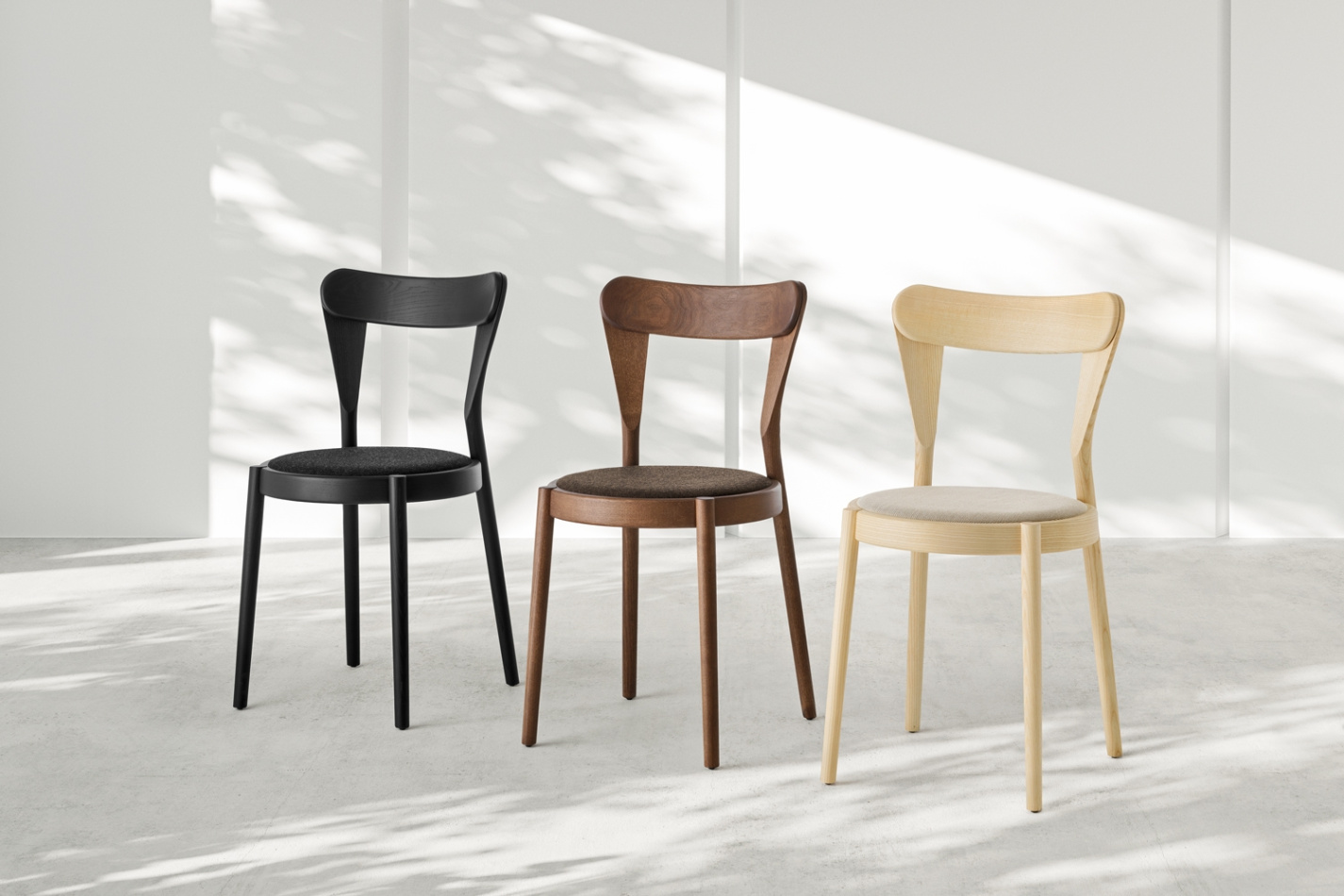 Passoni Pagaia frassino nero gruppo a 430 120 0277