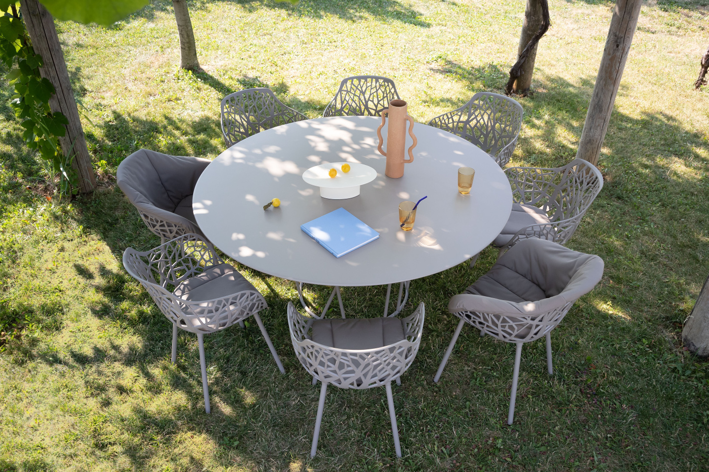 Fast Wild collection