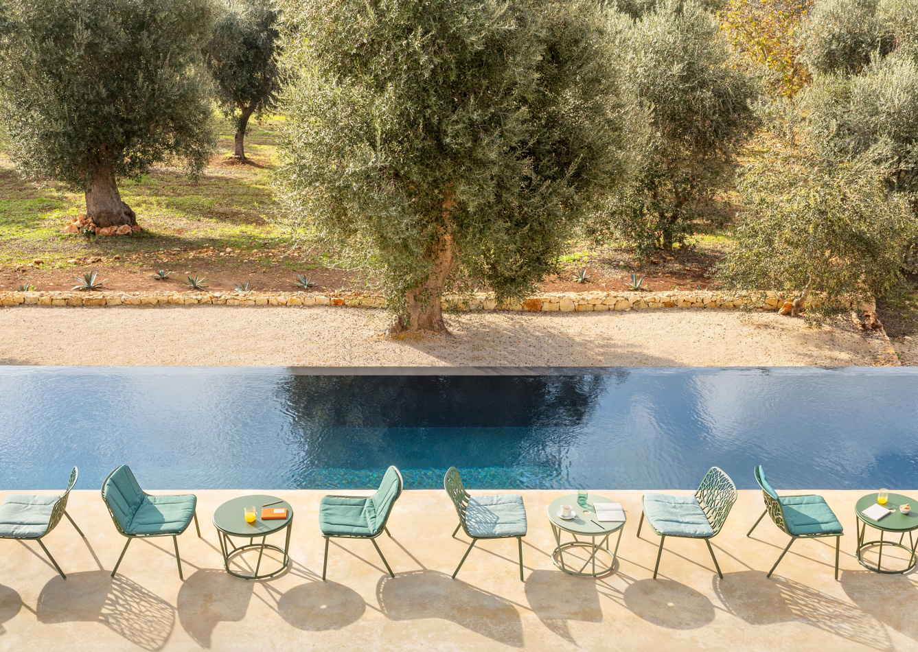 Fast Wild collection