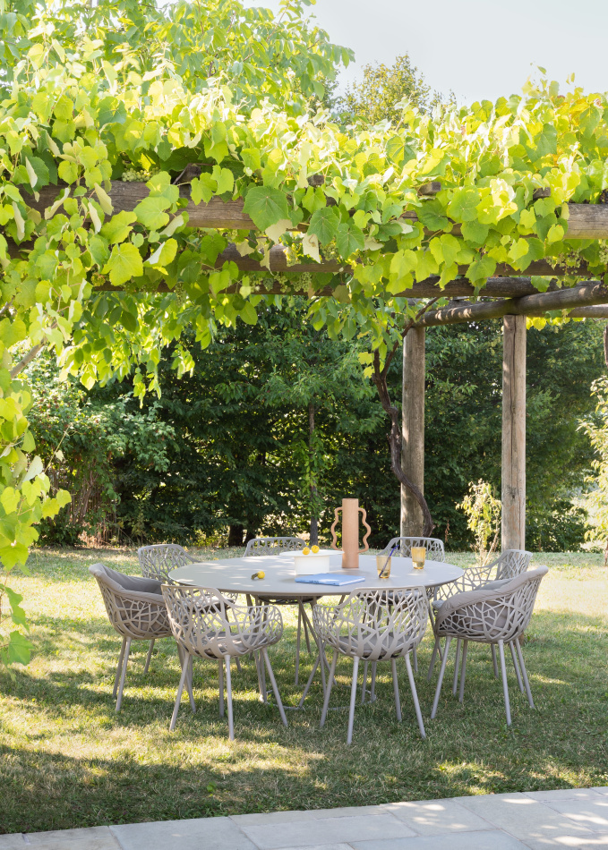 Fast Wild collection